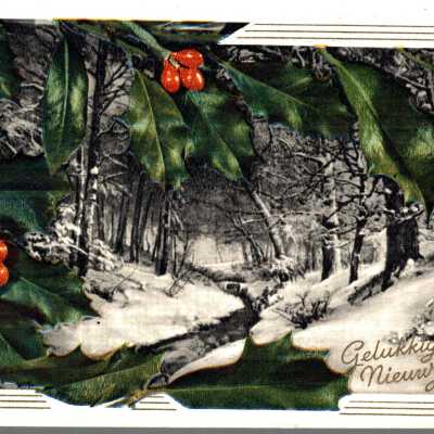 Dippe Carisse War Bride Post Card