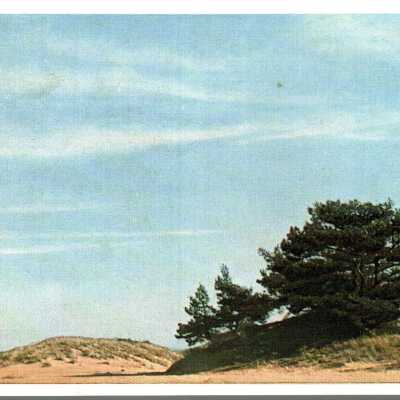 Dippe Carisse War Bride Post Card