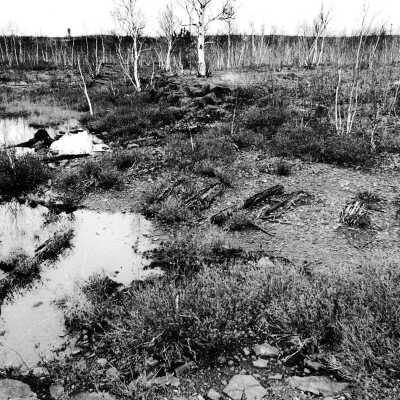 Photograph, Blezzard Smelter Site 1994.