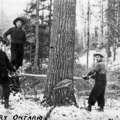 Photograph, Lumberjacks, Sudbury, Ontario.