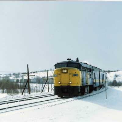 Photograph, Romford, March 1, 1989.