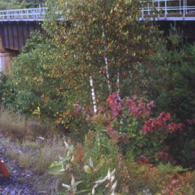 Photograph, CNR Bridge, Bala Sub.