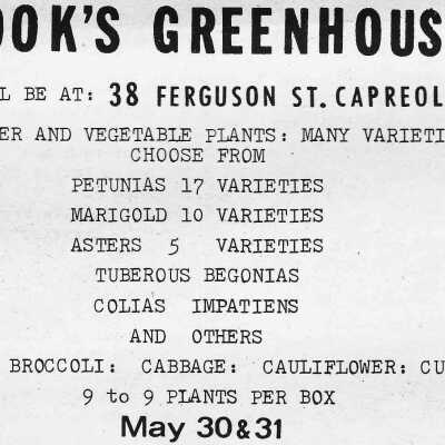 Newspaper Advertisement, Cook's Greenhouses.