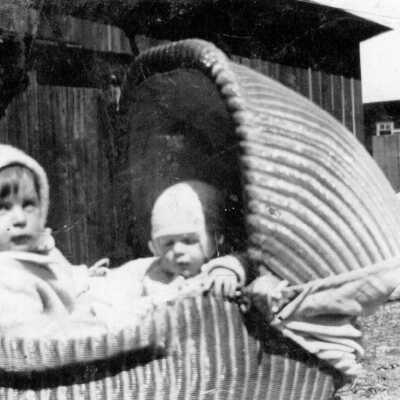 Photograph, Babies.