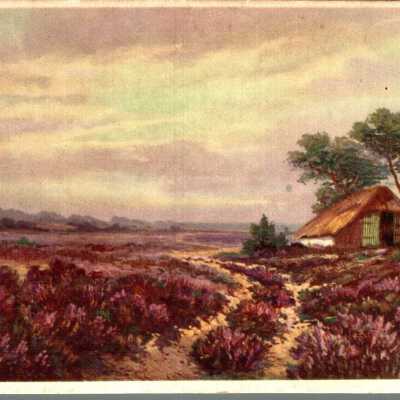 Dippe Carisse War Bride Post Card