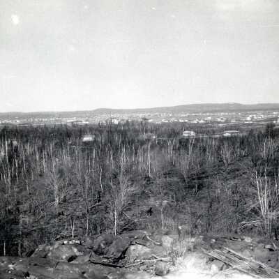 Photograph, Foleyet Flood Damage, Forest.