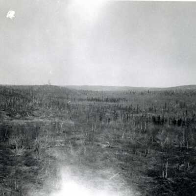 Photograph, Foleyet Flood Damage, Forest.