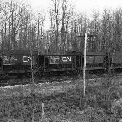 CN342138 Fesserton 810410 a.jpg