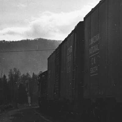 Photograph, CN4309 wb RR 6909.