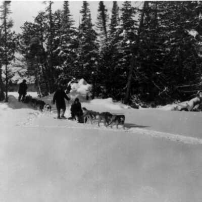 Photograph, Dog teams in Gogama section of Northern Ontario, 1920's.