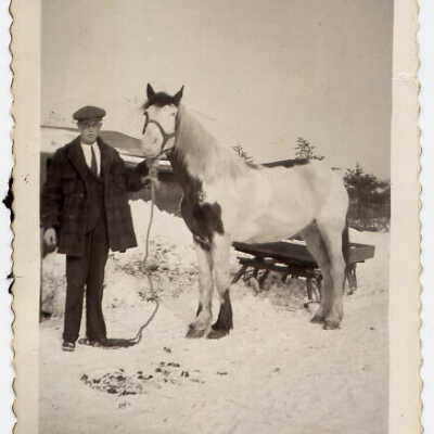 Photograph, Jack Clark, Delivery Horse, 1936.