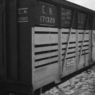 Photograph, Canadian National Railways stock car freight 171320.