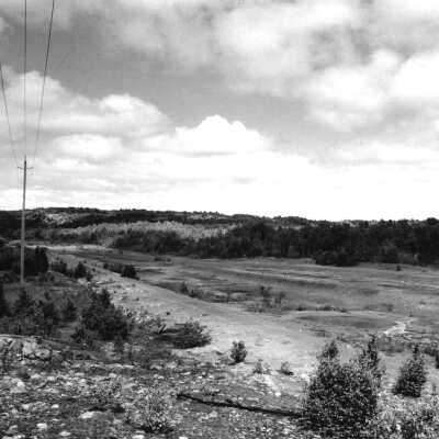 Photograph, O'Donnell 2000.