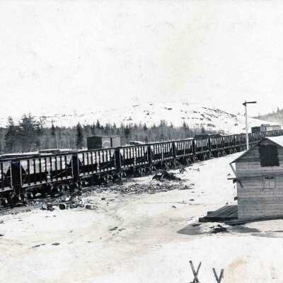 Photograph, Postcard of the Canadian Northern Railway, siding.