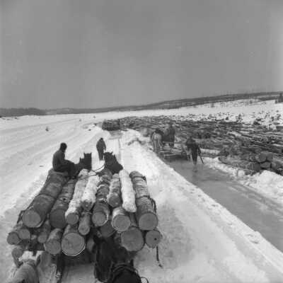 Photograph, Log sleighs at the dump at Cassels Lake, Temagami, Ontario.
