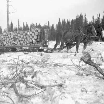 Photograph, Nakina, Ontario, hauling wood, February 1935.