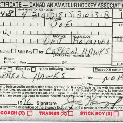 Hockey Manager Registration Certificate belonging to Joe Hanzel