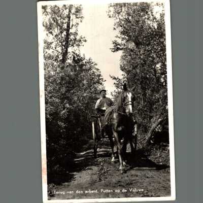 Postcard written to Mrs. D Carrise in Capreol Ontario