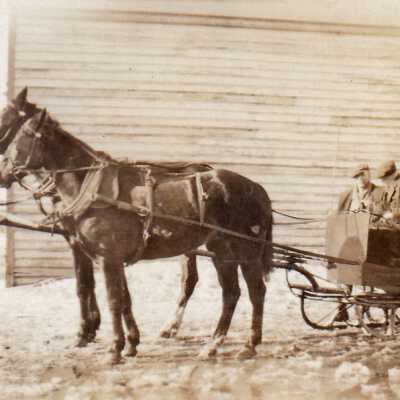 Photograph- D'Appolonia Sleigh