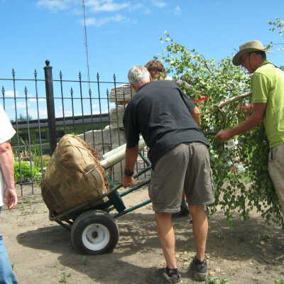 Photograph, NORMHC, Garden of Life Construction.
