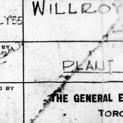 Document, Plan, Willroy Mines Limited, Site Plan.
