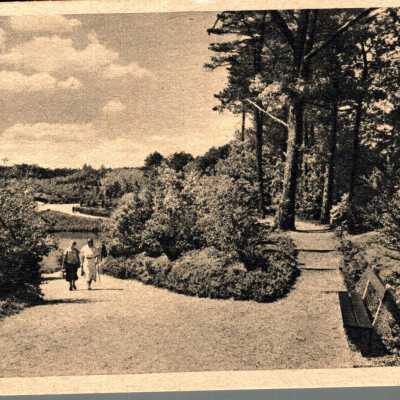 Postcard written to Mrs D Carrise