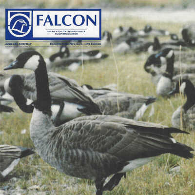 Falcon, Special Edition, November/December 1991