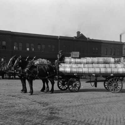 Photograph, Canadian National Railways, Freight Horse.