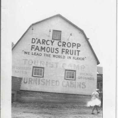 Photograph - D'arcy Cropp Camp - Furnished Cabins
