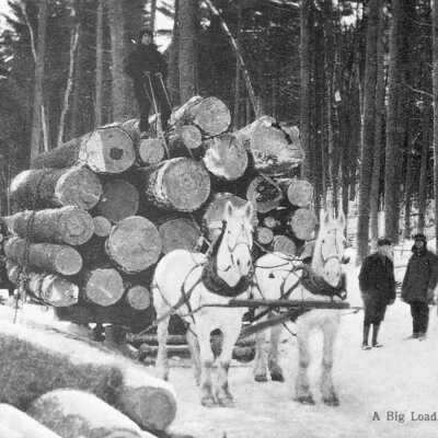 Photograph, Logging, Sudbury, Ontario.