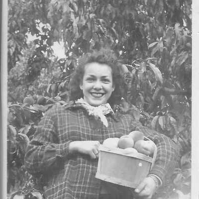 Photograph - Elinor Staples picking peaches