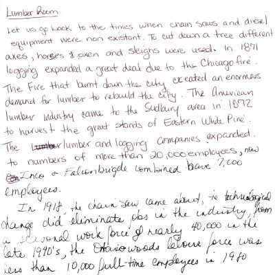 Document, Lumber Room Notes 2.
