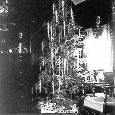Photograph, Xmas Tree in McKay School Car.