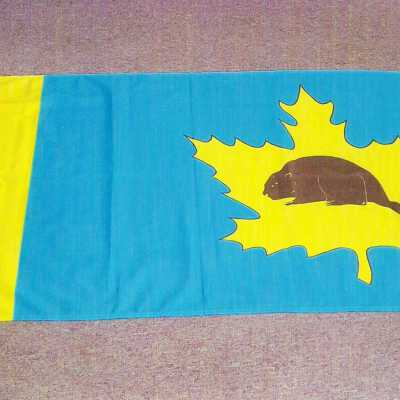 Photograph, Capreol Flag.