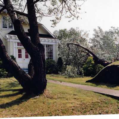 photograph - House