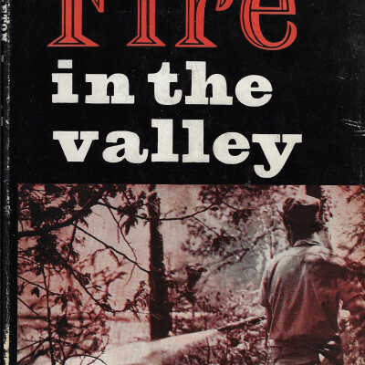 Fire in the Valley