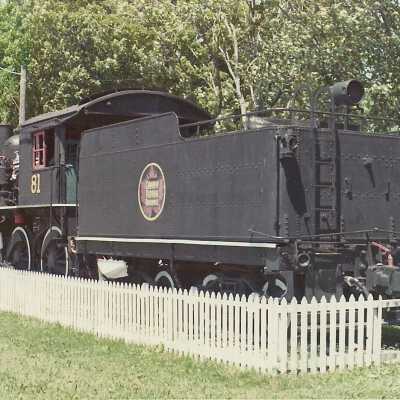 Photograph, CNR Steam Locomotive 81.