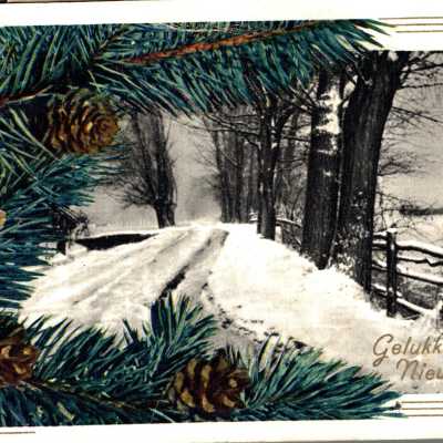 Dippe Carisse War Bride Post Card