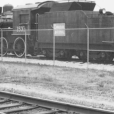 Photograph, CNR Steam Locomotive 1531.