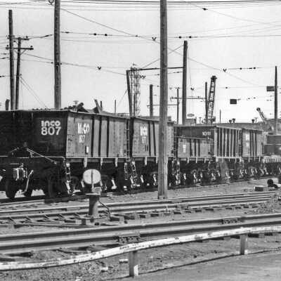 Photograph - Rolling stock variety