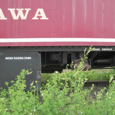 Photograph, Algoma Central Railway Passenger Car, "Agawa".