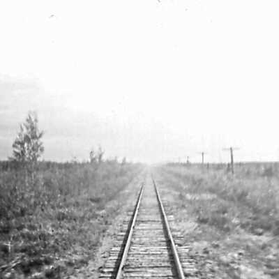 Photograph - Tracks near Moosonee