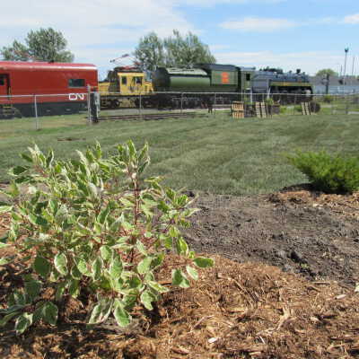 Photograph, NORMHC, Garden of Life Opening Ceremony and Construction.