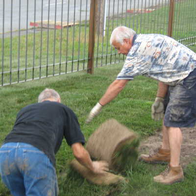 Photograph, Rolling sod during Garden of Life construction.