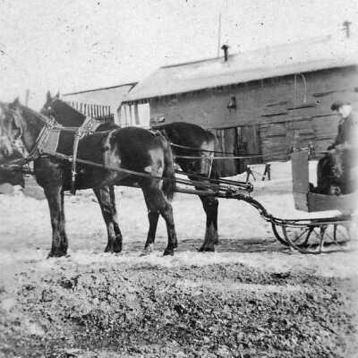 Photograph- D'Appolonia Sleigh, Portrait View