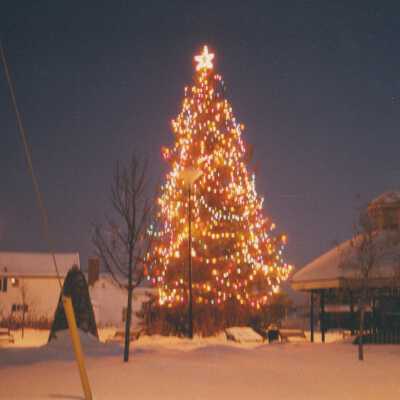 Photograph - Christmas tree and gazebo, Capreol