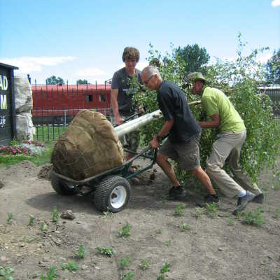 Photograph, NORMHC, Director Bob Michelutti and volunteers planting trees around Garden of Life.