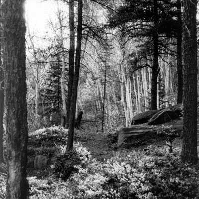 Photograph, GDJ Levack-Onaping Scenery.