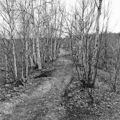 Photograph - Stobie spur