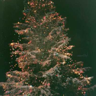 Photograph, Capreol Christmas Tree.